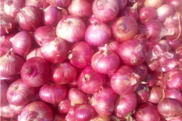 Mega market onion