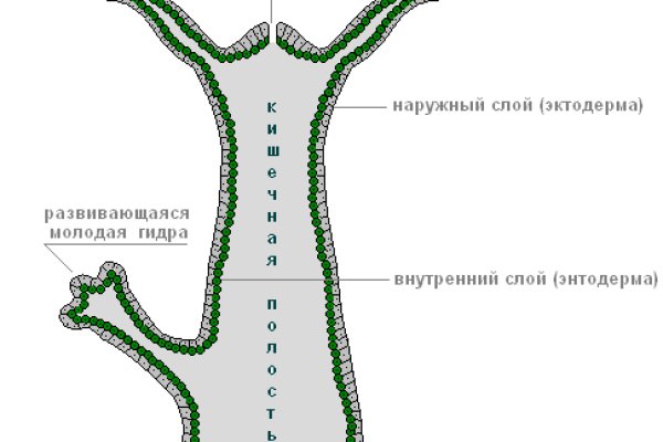 Актуальное зеркало крамп