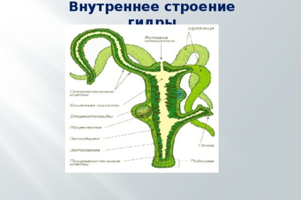 Как залить фото на блэкспрут