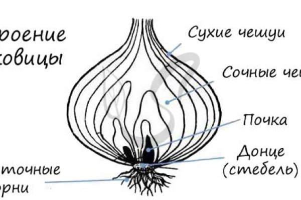 Предзаказ на блэкспрут что это